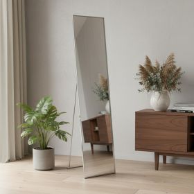 59" Silver Metal Framed Cheval Standing Mirror